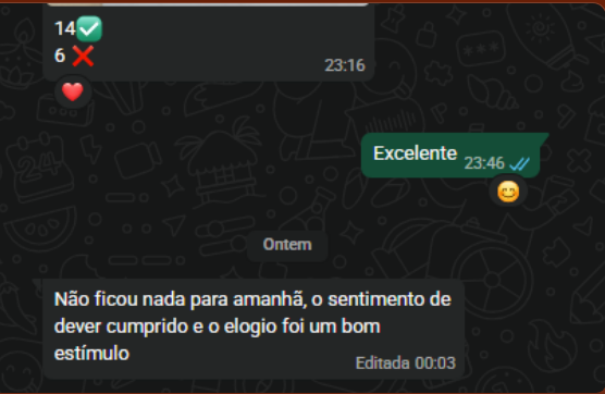 Depoimento sobre rotina de estudos e evolução diária